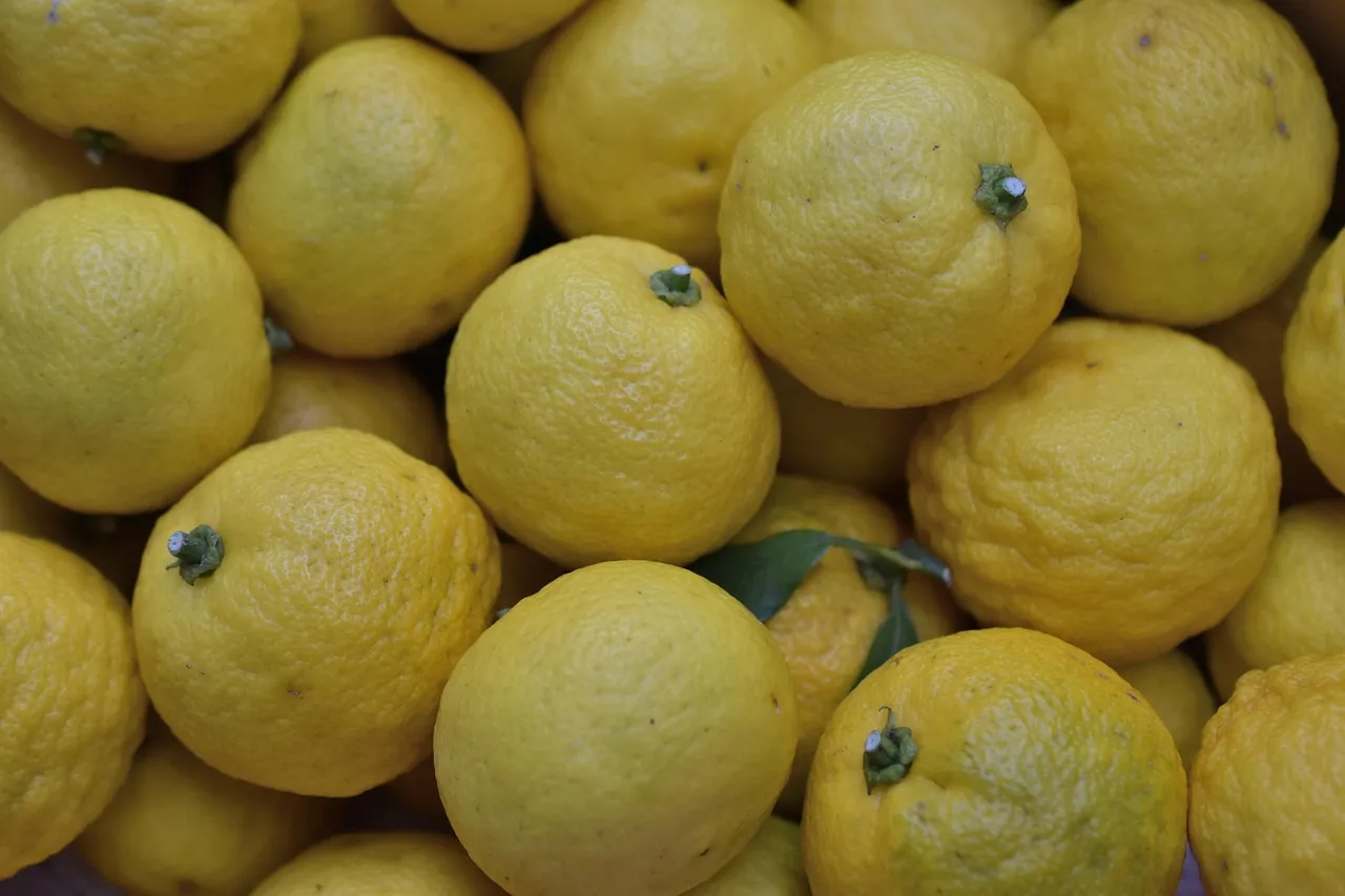 Food, Citrus, and the Taste of the Sea (Image Credits: Pixabay)