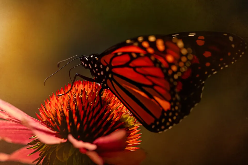 The Bigger Picture Worth Holding Onto (Image Credits: Stocksnap)
