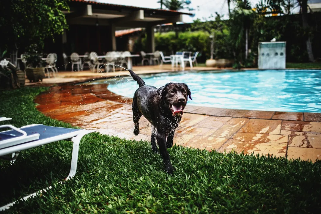 Major Chains Racing to Upgrade Their Offerings (Image Credits: Unsplash)