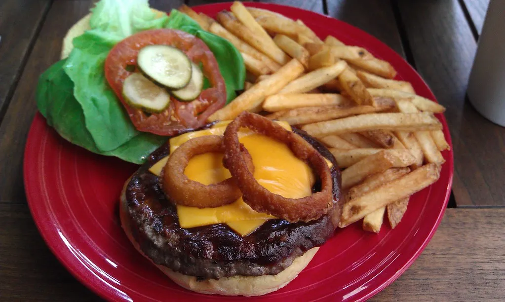 Onion Rings: The Textural Star (mroach, Flickr, CC BY-SA 2.0)
