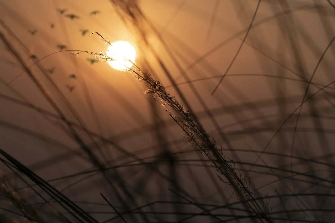 The Best Months to Visit for Sunrise Colors (Image Credits: Unsplash)