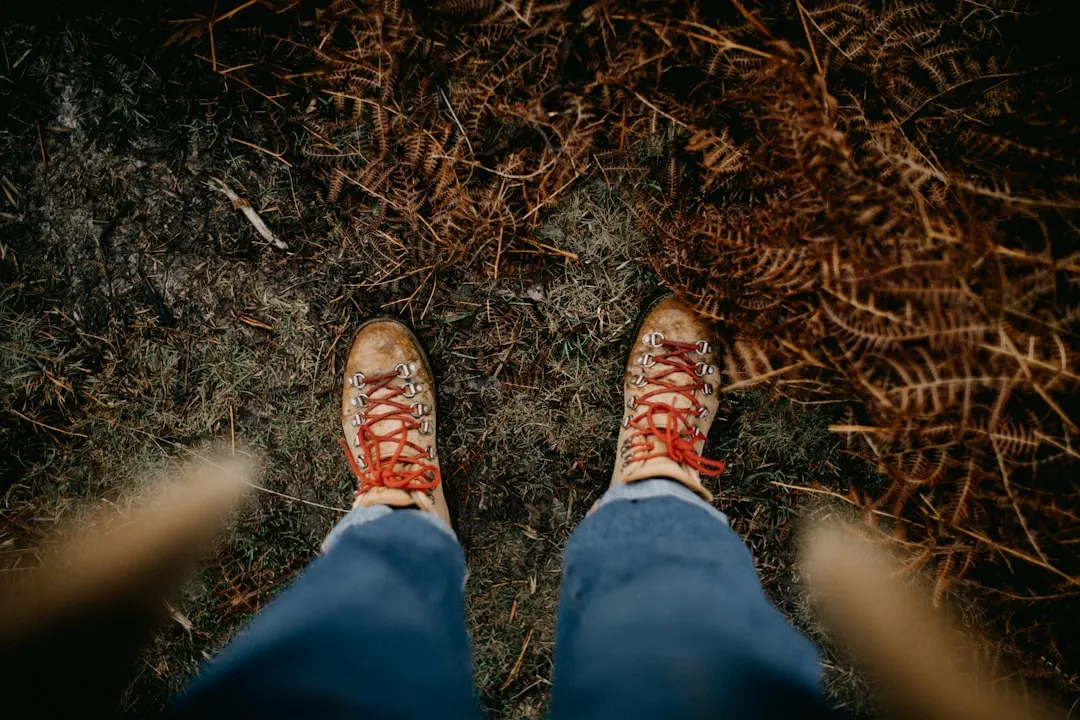 A Word on Trail Conditions and Recent Updates (Image Credits: Unsplash)