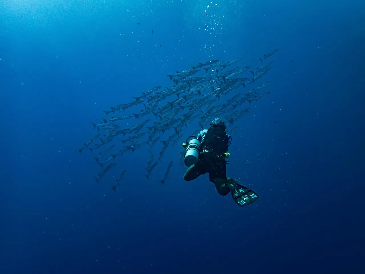 Visibility and Depth: What Makes an Entry Point Truly Work (Image Credits: Pixabay)