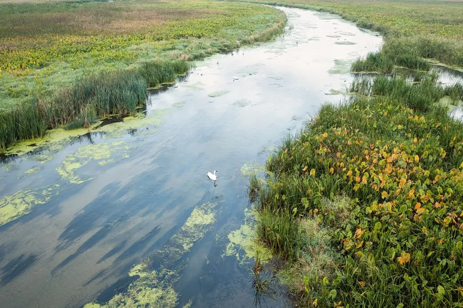 Hunting Island's Story River and Its Web of Small Creeks (Image Credits: Pexels)