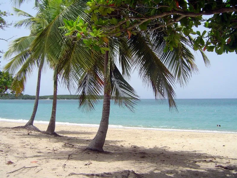 The World Record Holder: Mosquito Bay in Vieques (By Jaro Nemčok, CC BY-SA 3.0)