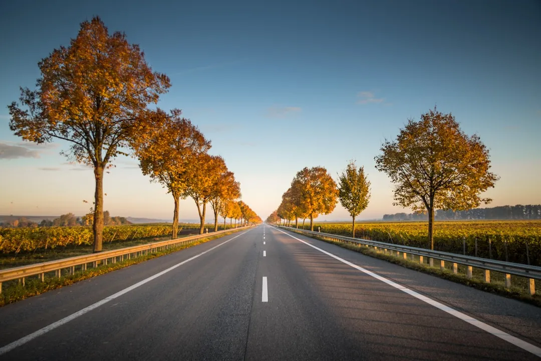 8. Taking the Scenic Route Literally (Road Trips With No GPS Rush) (Image Credits: Unsplash)