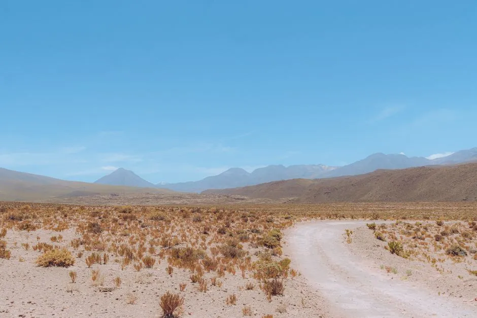 5. Chile Is Betting on Sustainable Travel in a Meaningful Way (Image Credits: Pexels)