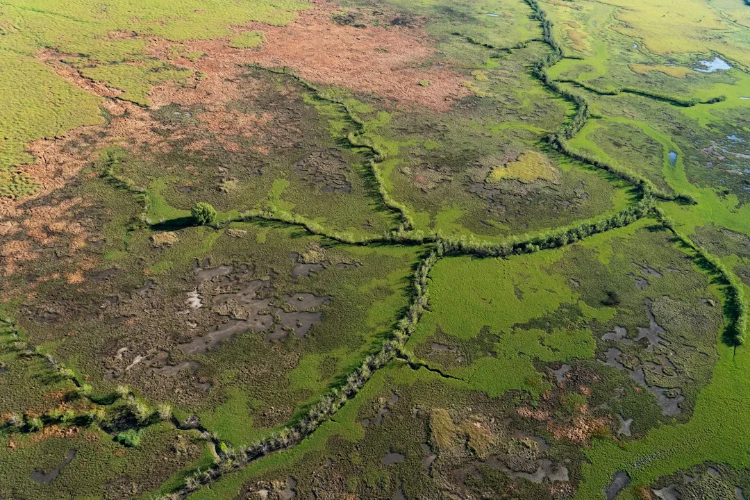 Kakadu National Park, Northern Territory (Image Credits: Unsplash)