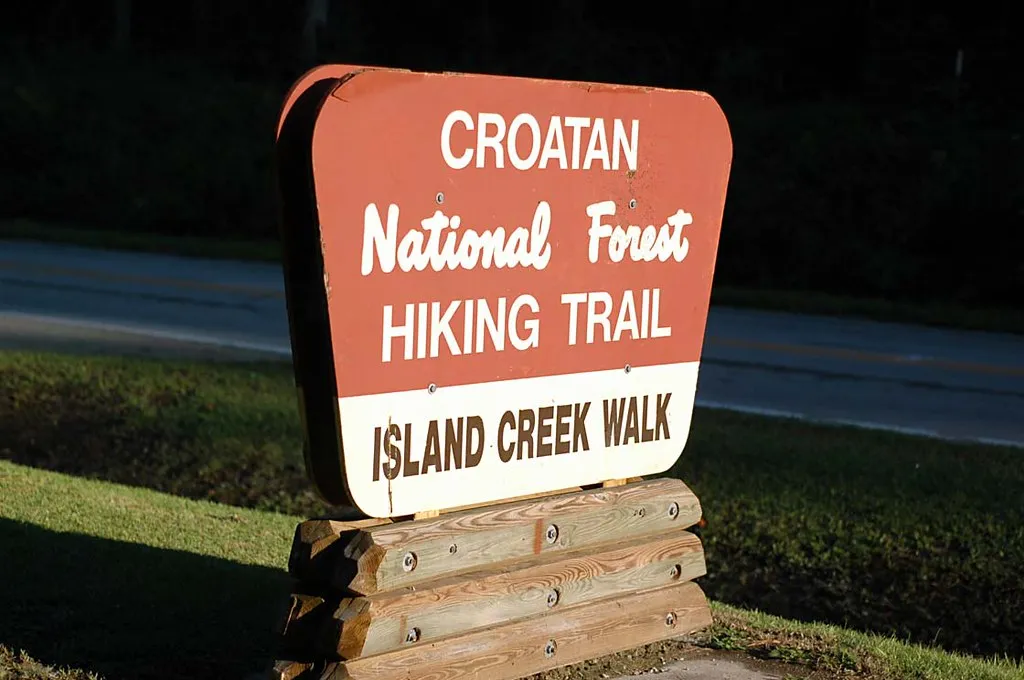 10. Croatan National Forest, North Carolina (BLW Photography, Flickr, CC BY 2.0)