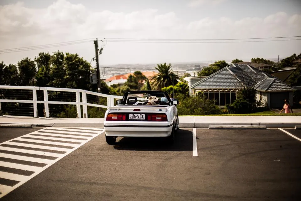 Scorpio, Aquarius, and Pisces: The Unconventional Road Trippers (Image Credits: Stocksnap)