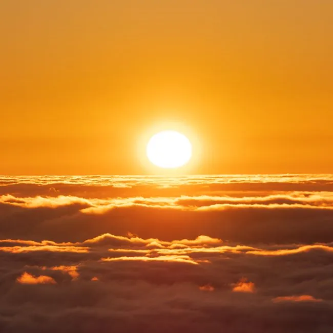 Getting Maximum Bright Light at the Wrong Time of Day (Image Credits: Pexels)