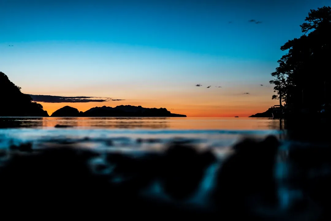 What "Escape" Actually Means Here (Image Credits: Unsplash)