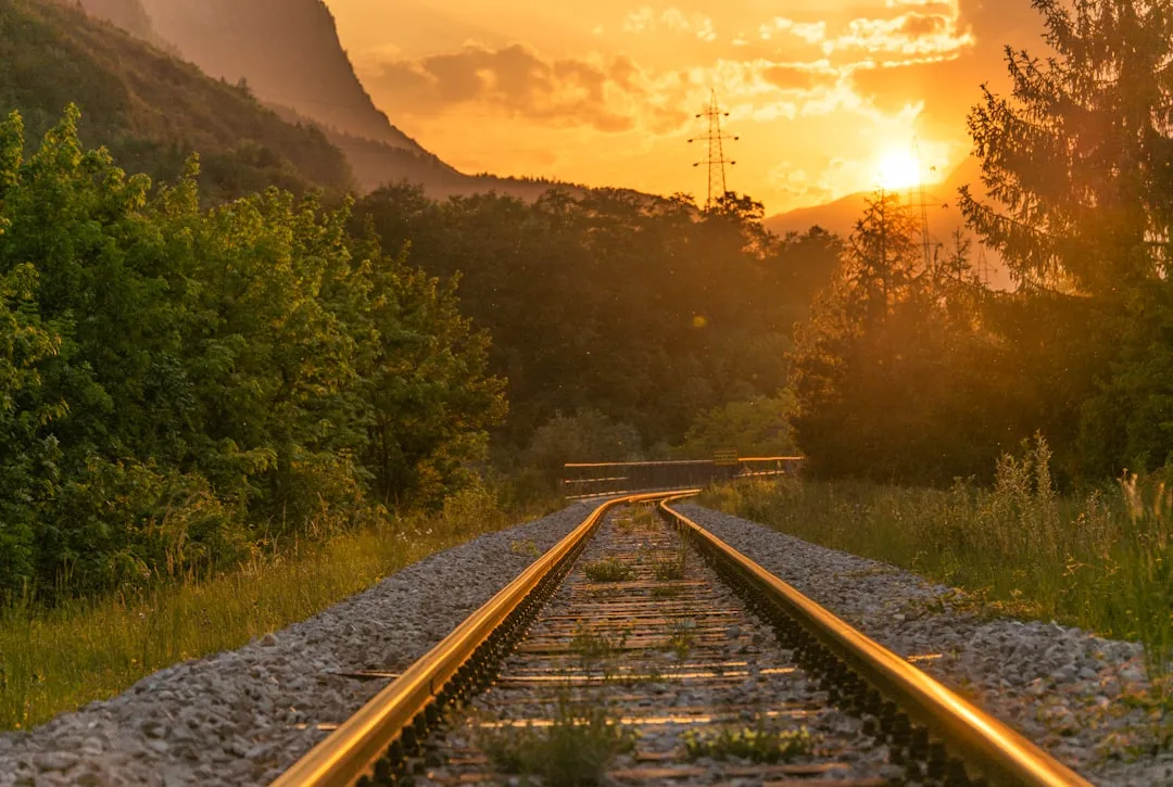 The Workforce Behind The Rails (Image Credits: Unsplash)