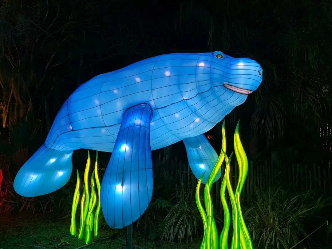 The Florida Manatee Festival (Image Credits: Unsplash)