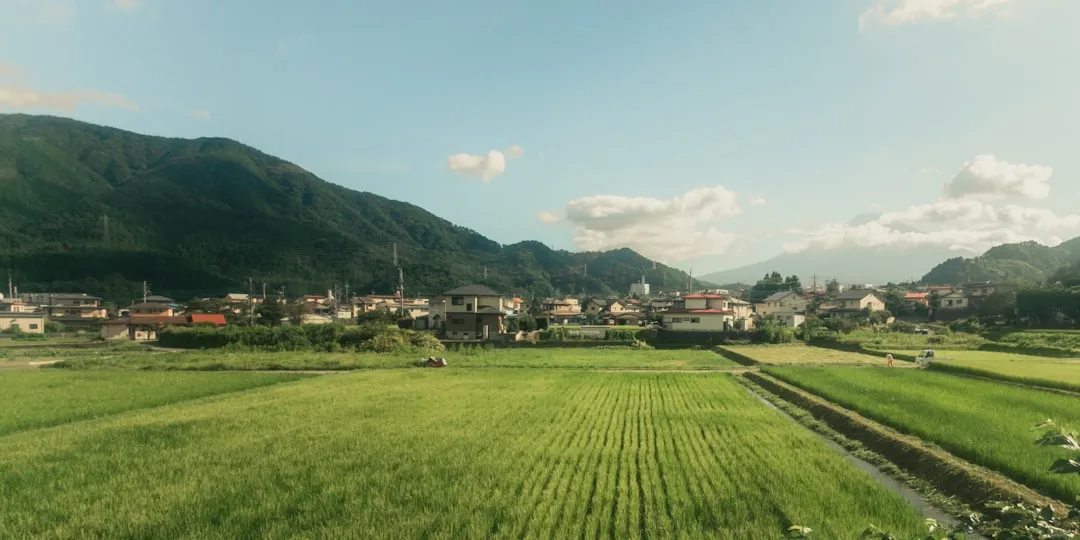 A Quiet Japan That Still Exists (Image Credits: Unsplash)
