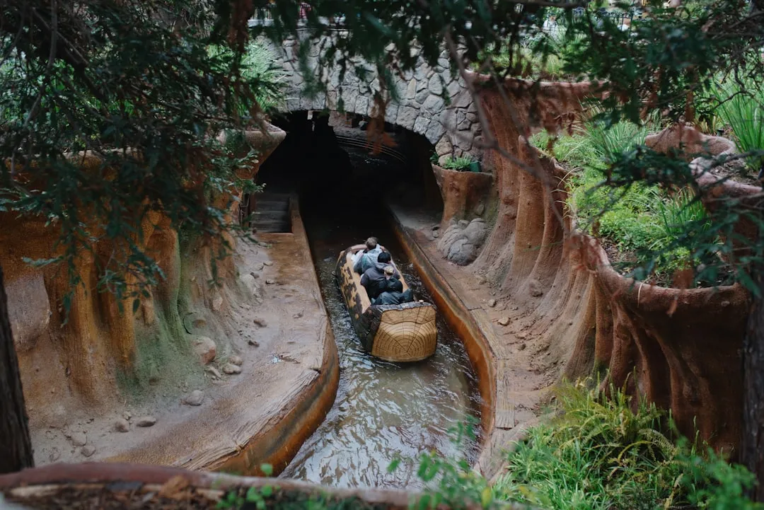 The Log Flume: You Know How to Let Go (Image Credits: Unsplash)
