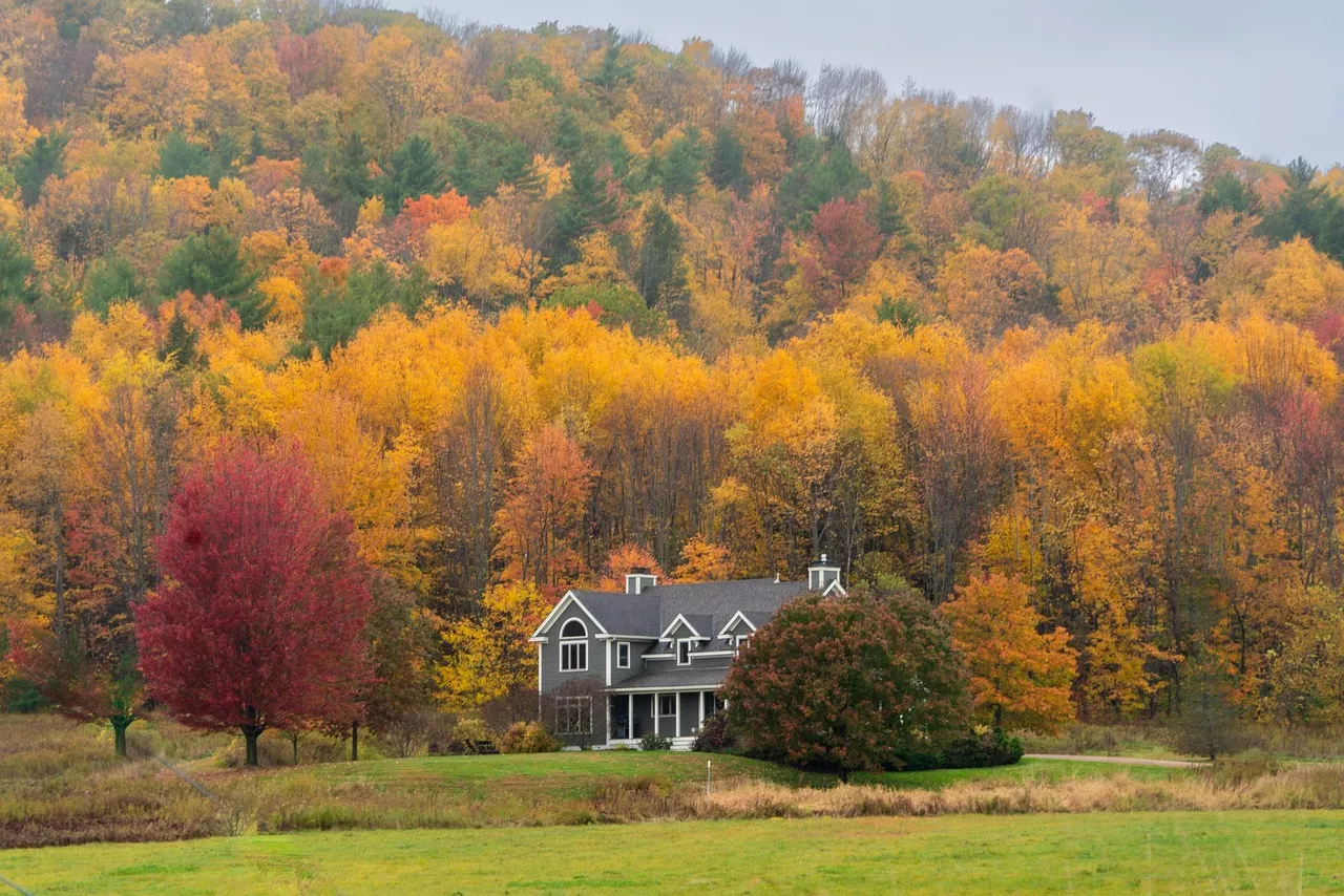 Columbus Day Weekend: New England's Unofficial Foliage Holiday (Image Credits: Pixabay)