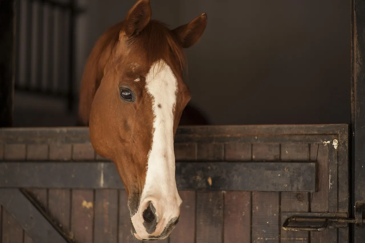 Airdrie Stud: 2,500 Acres of Living History (Image Credits: Pixabay)
