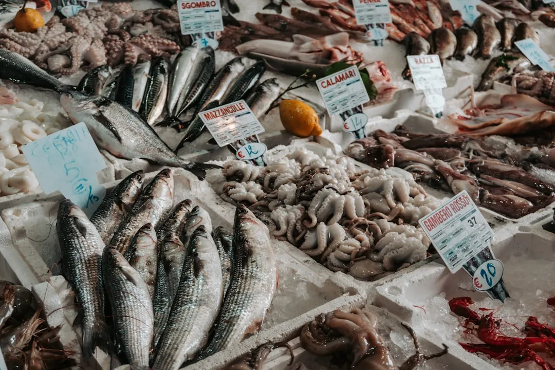 Reason 2: Living Seafood Culture That Still Functions Like a Real Industry (Image Credits: Unsplash)