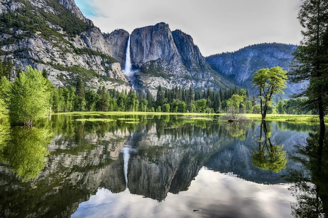 Yosemite National Park - California's Granite Cathedral (Image Credits: Unsplash)