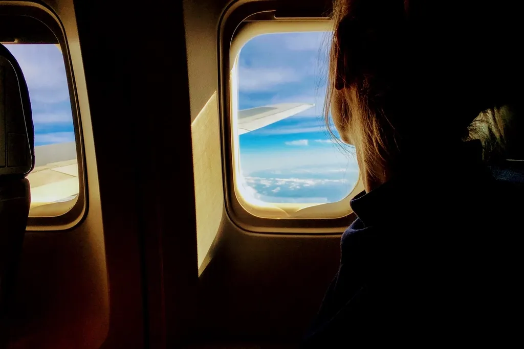 They Sit in a Window Seat Strategically (Image Credits: Rawpixel)