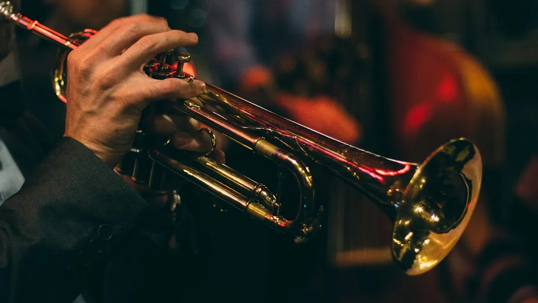 A UNESCO Designation That Confirmed What Musicians Already Knew (Image Credits: Unsplash)