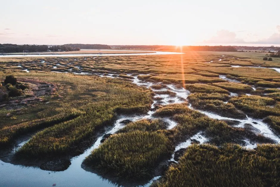 How the Marshes Are Protected (Image Credits: Pexels)