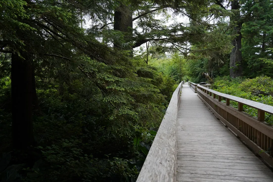Beyond The Beach: Trails, Bogs, And Big Trees (Image Credits: Unsplash)