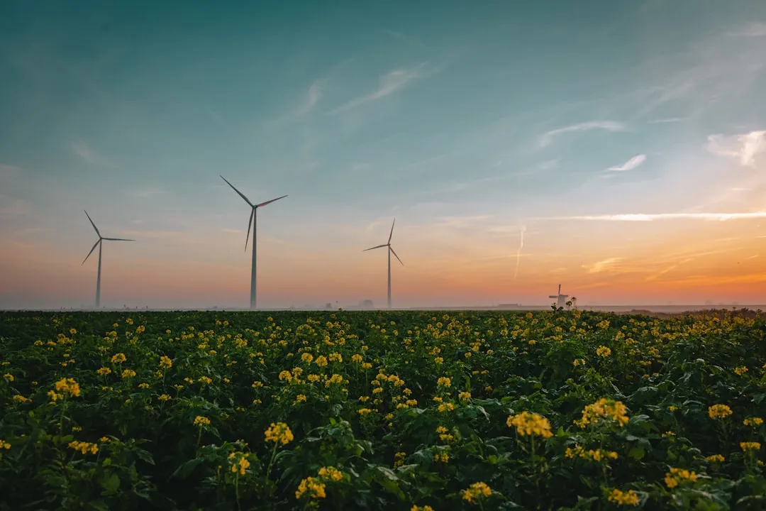 The Role of Market Growth in Improving the Experience (Image Credits: Unsplash)