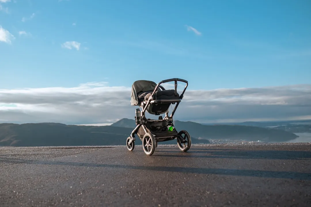 8. A Travel Stroller: Lightweight and Collapsible Matters (Image Credits: Unsplash)