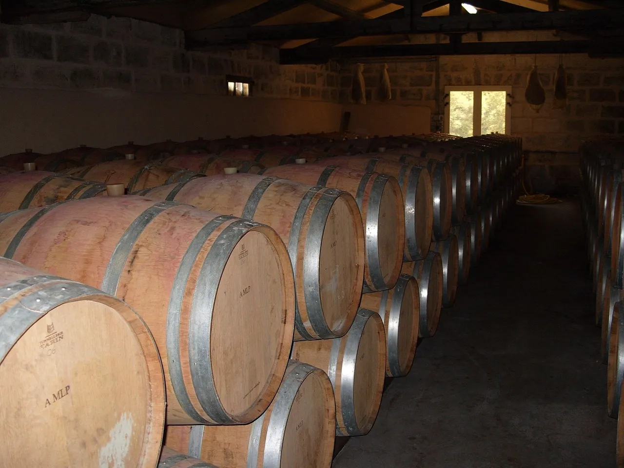 The Role of Younger Travelers in Reshaping Cellar Culture (Image Credits: Pixabay)