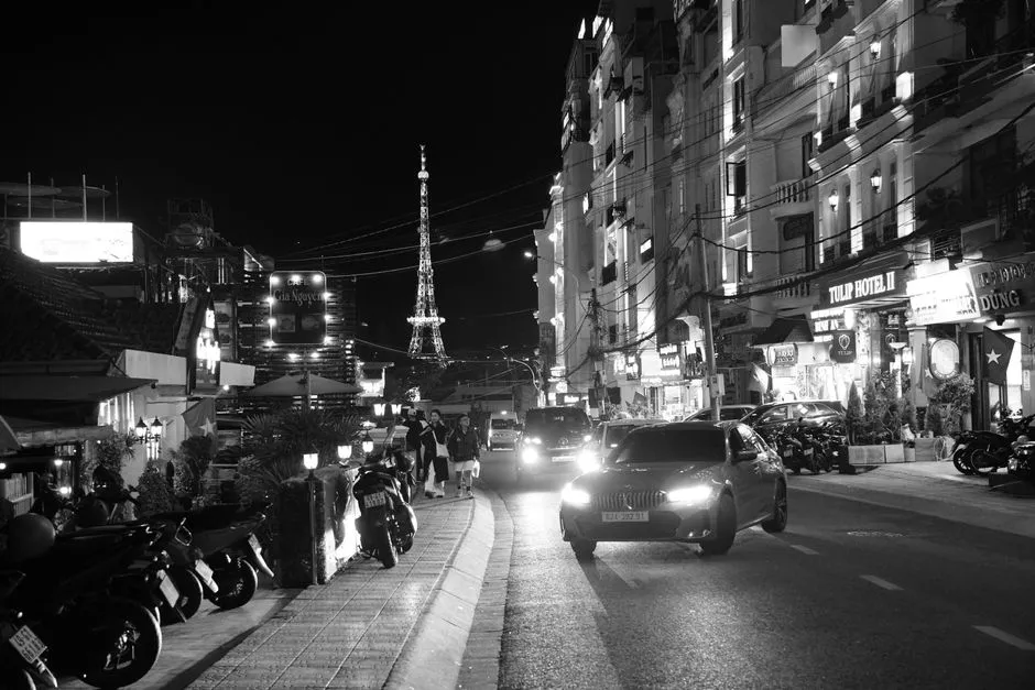 Who Was Pierre Bideau? (Image Credits: Pexels)