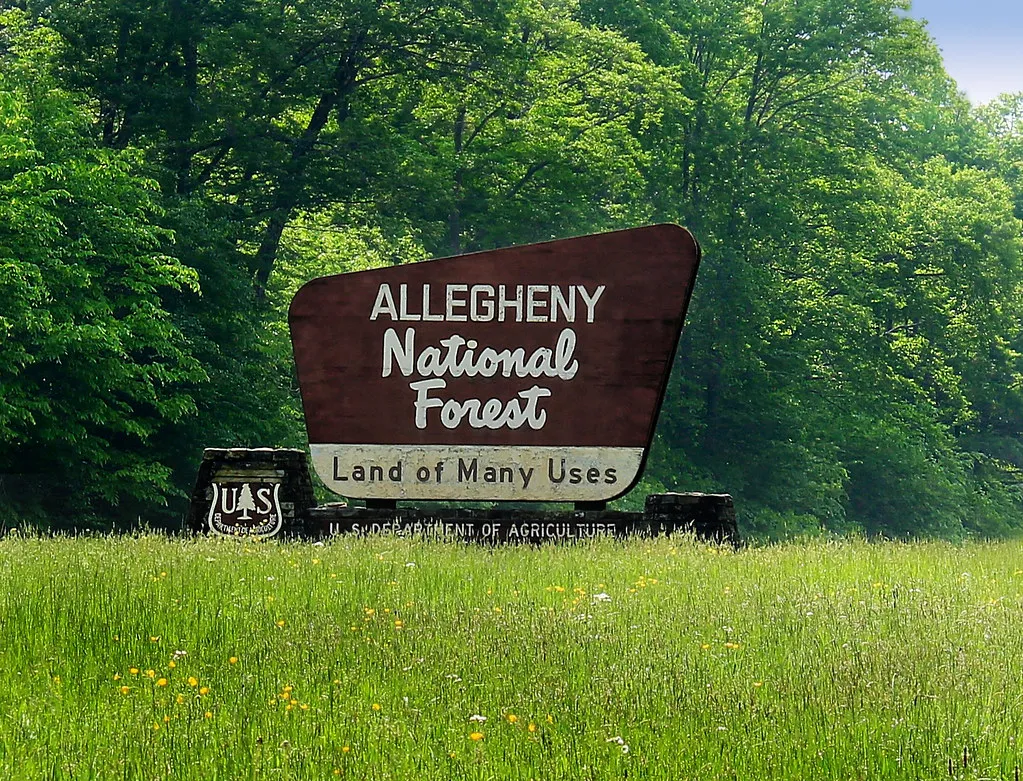 1. Allegheny National Forest, Pennsylvania (Nicholas_T, Flickr, CC BY 2.0)