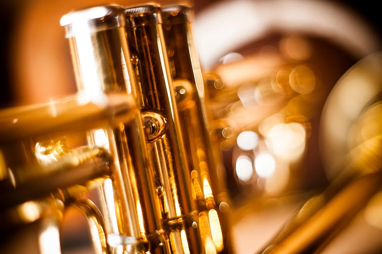 The Snug Harbor Effect and the Role of Mentorship (Image Credits: Pixabay)