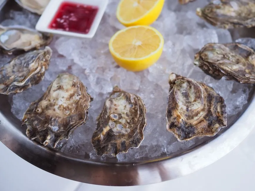 Chubby Fish: An Innovative Seafood Spot Drawing National Attention (Image Credits: Pexels)