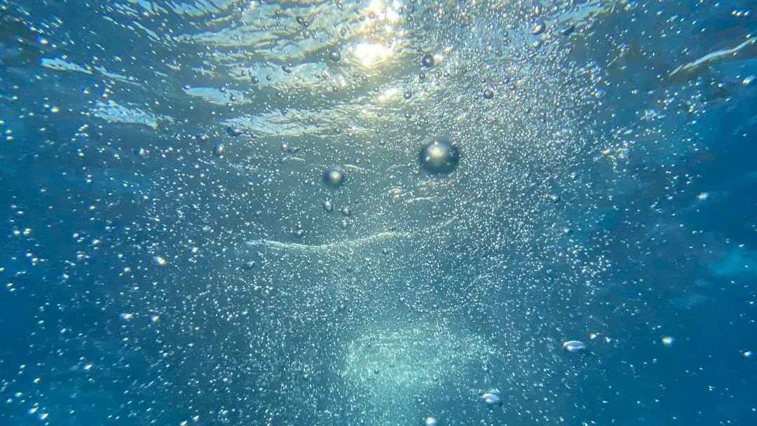 What Actually Causes the Bubbles (Image Credits: Unsplash)