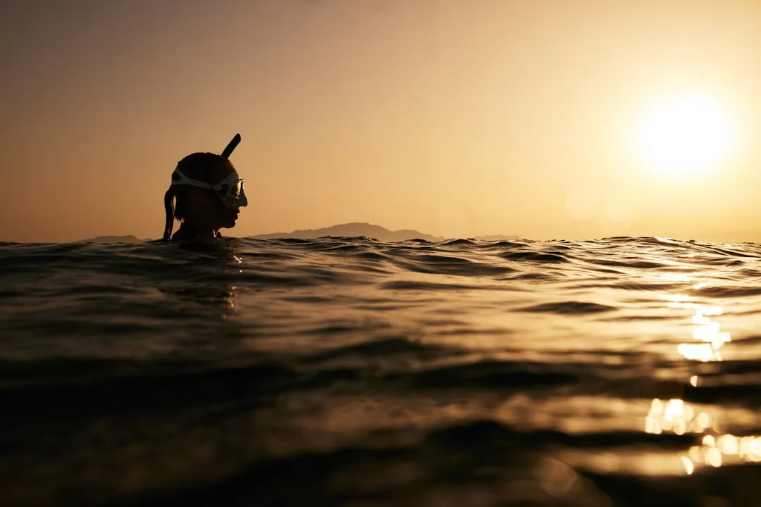 Morning Is When the Water Wins Every Time (Image Credits: Unsplash)