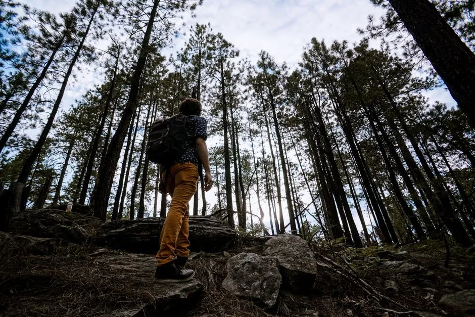 Serious Hiking in the Tonto National Forest (Image Credits: Pexels)