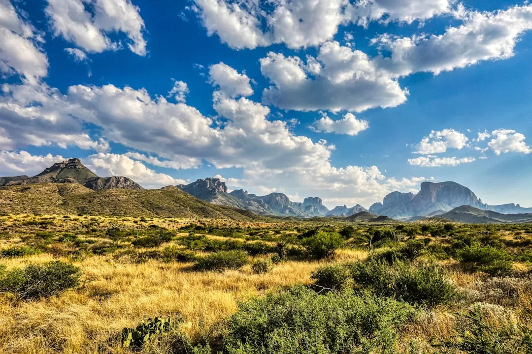 5. Texas Hill Country Loop from San Antonio (Image Credits: Unsplash)
