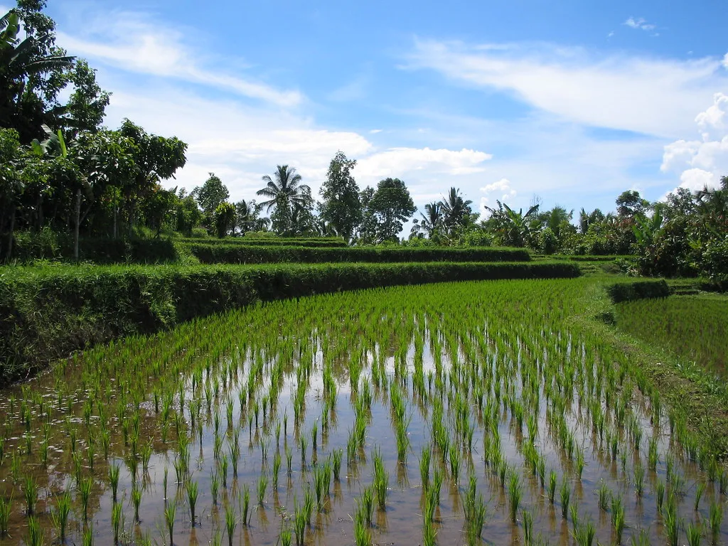 Respecting the Farmers and Their Land (sbmalev, Flickr, CC BY-SA 2.0)