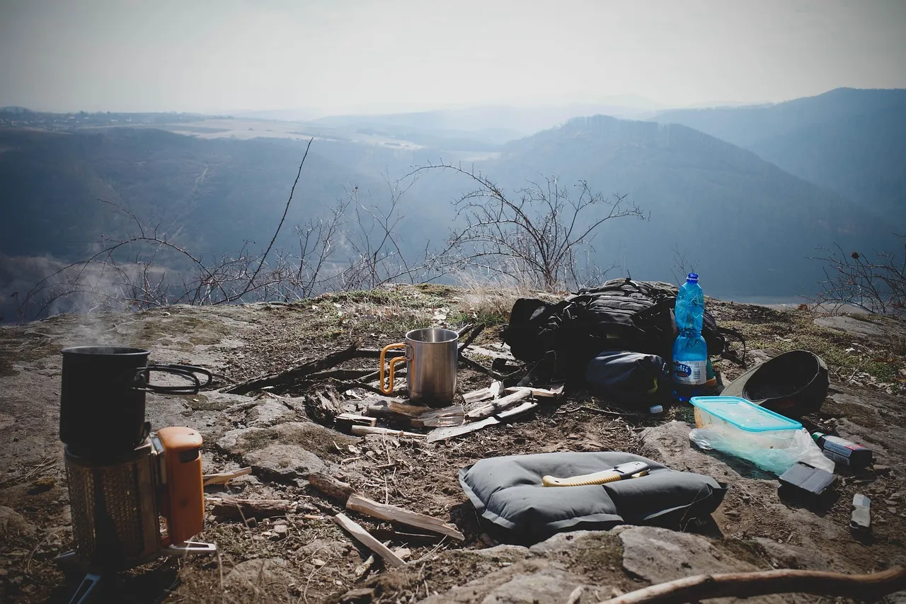 Cook Your Own Meals on the Road (Image Credits: Pixabay)