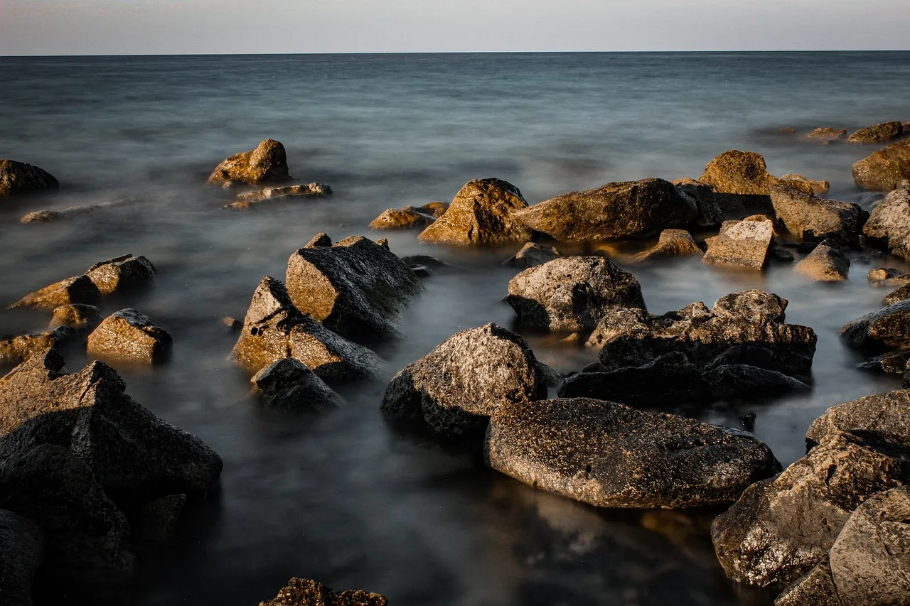 Morning vs. Afternoon: When Each Row Shines (Image Credits: Pixabay)