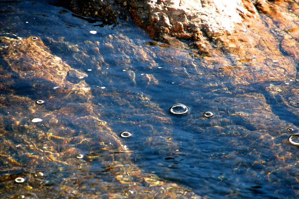 Sabino Creek and the Monsoon: A Dynamic Summer Relationship (Chic Bee, Flickr, CC BY 2.0)