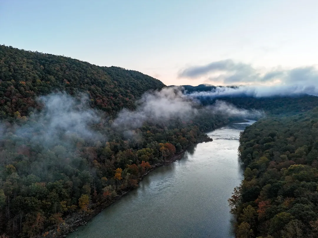 The New River Gorge: A Forest Unlike Most Others (Image Credits: Unsplash)