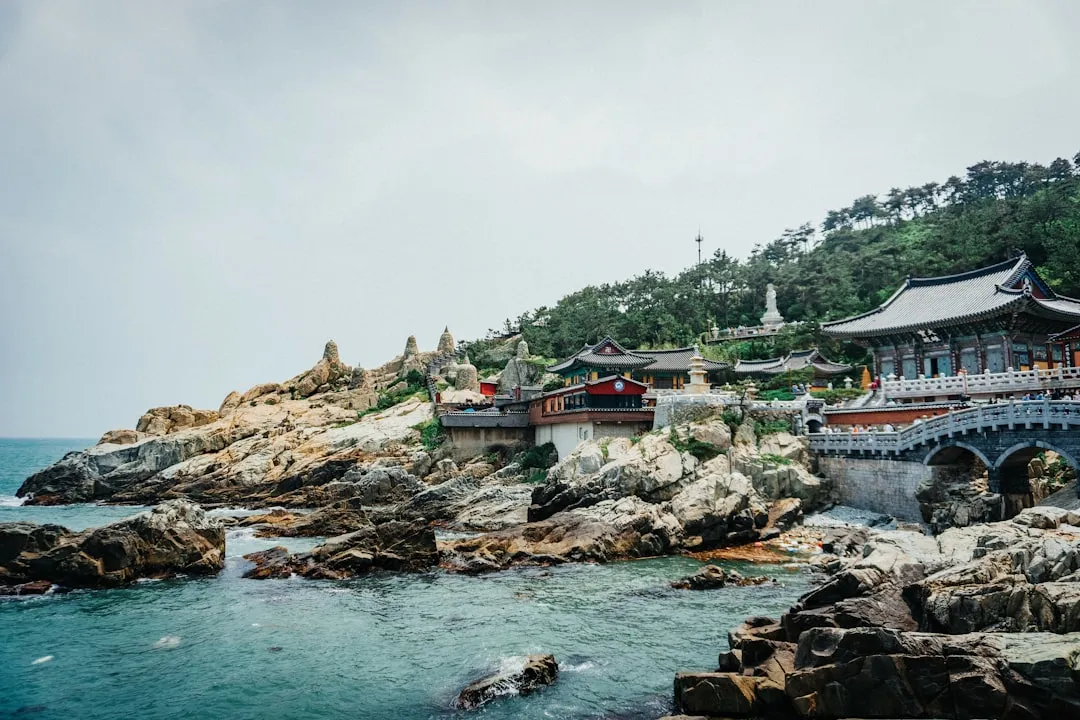 South Korea: Generosity Can Feel Like an Insult (Image Credits: Unsplash)