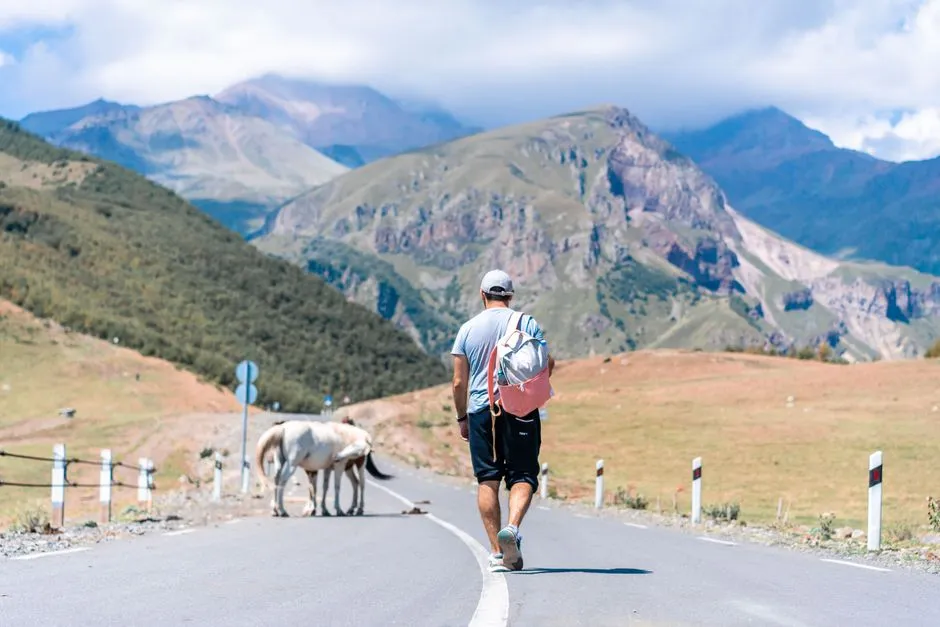 A Quiet Takeaway (Image Credits: Pexels)