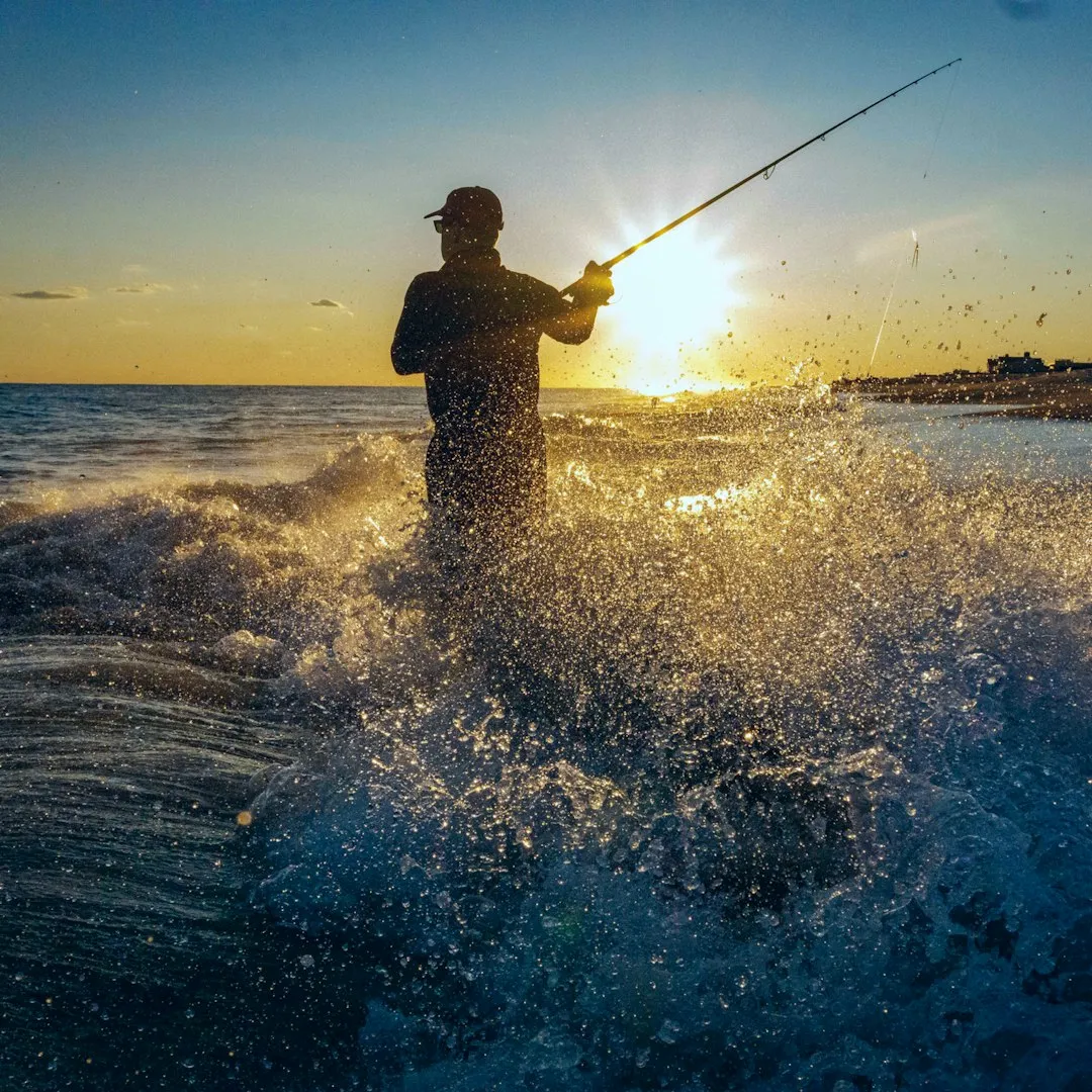 Fishing, Wildlife, and Water Activities (Image Credits: Unsplash)
