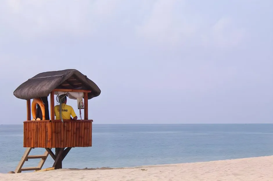 What Lifeguards Actually Want You to Do (Image Credits: Pexels)