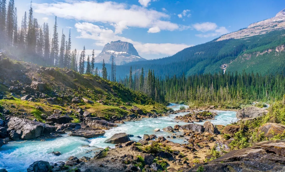 Glacier's Evolving Strategy in 2026 (Image Credits: Unsplash)