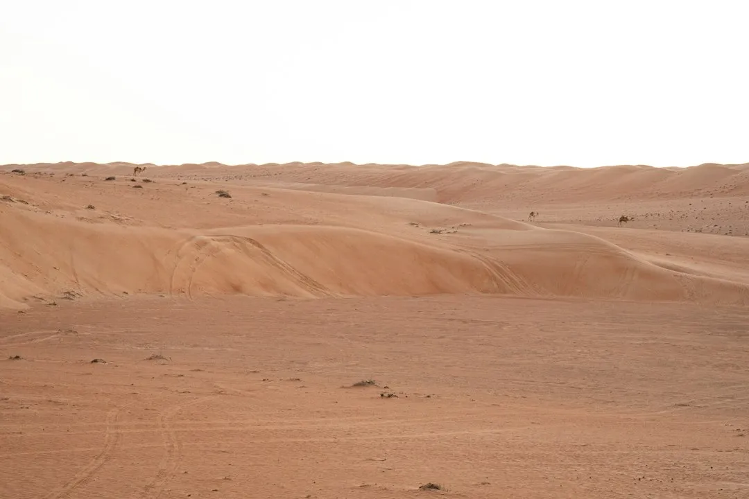 Sleeping Under Stars in the Wahiba Sands (Image Credits: Unsplash)